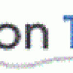 Logo-Felison-Terminal