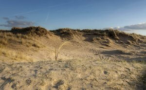 National Park Zuid Kennemerland