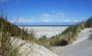 To the beach