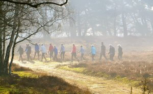 Nature walking routes surrounding of Huizen
