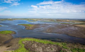 Marker Wadden